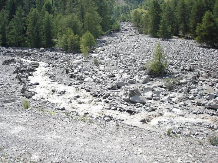 1 Un champ de cailloux occupe maintenant le lit de la valloirette au niveau de Bonnenuit 